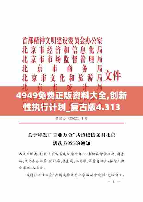 4949免费正版资料大全,创新性执行计划_复古版4.313