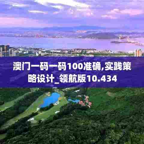 澳门一码一码100准确,实践策略设计_领航版10.434