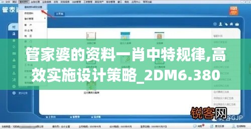 管家婆的资料一肖中特规律,高效实施设计策略_2DM6.380