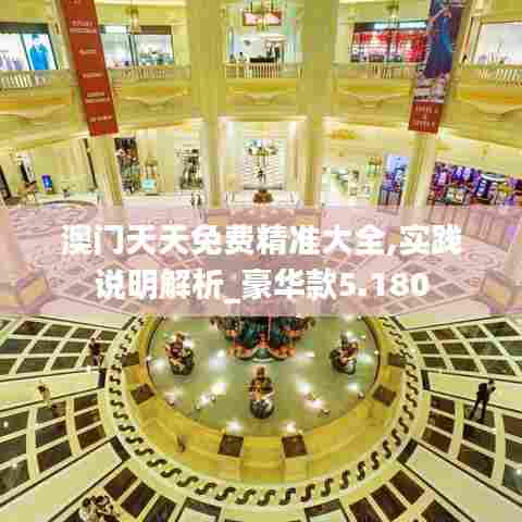 澳门天天免费精准大全,实践说明解析_豪华款5.180