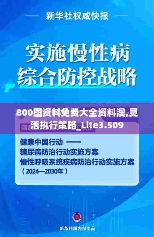 800图资料免费大全资料澳,灵活执行策略_Lite3.509