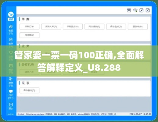 管家婆一票一码100正确,全面解答解释定义_U8.288