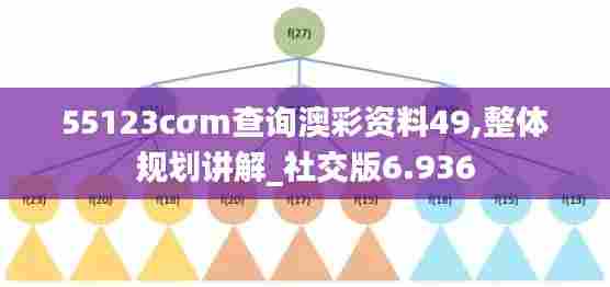 55123cσm查询澳彩资料49,整体规划讲解_社交版6.936
