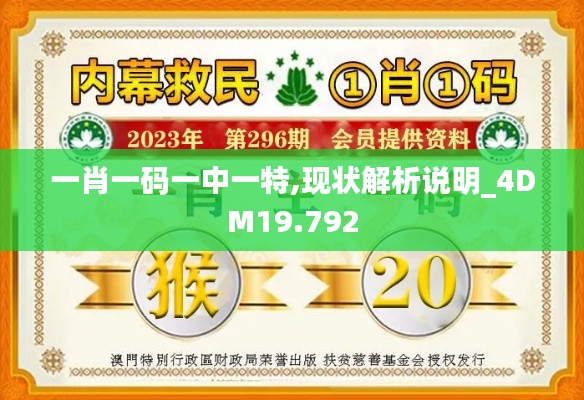 一肖一码一中一特,现状解析说明_4DM19.792