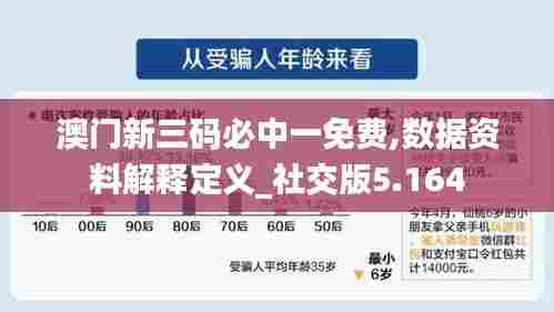 澳门新三码必中一免费,数据资料解释定义_社交版5.164