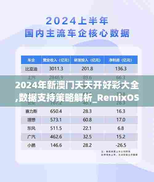 2024年新澳门天天开好彩大全,数据支持策略解析_RemixOS2.163