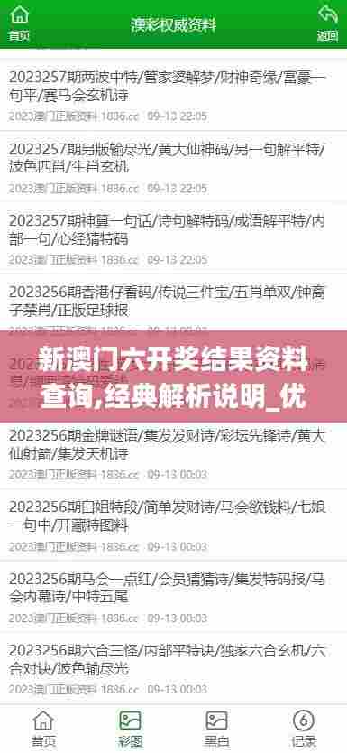 新澳门六开奖结果资料查询,经典解析说明_优选版4.778