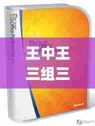 王中王三组三中三,深入数据应用计划_YE版5.113