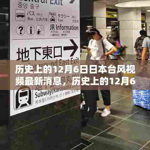 质而不俚 第3页