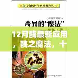 十二月酶之魔法，温馨日常与奇妙友谊的新应用探索