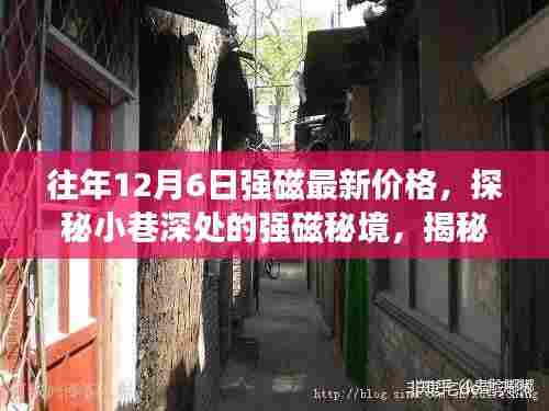 揭秘强磁秘境，往年12月6日最新价格深度解析