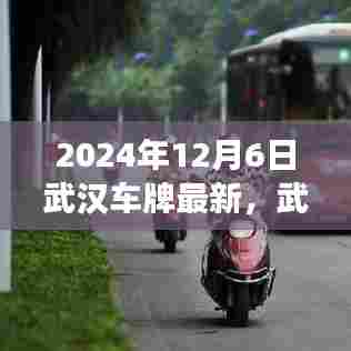武汉车牌最新动态，探索自然美景之旅，启程寻找内心宁静的港湾之旅（2024年）