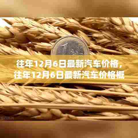 往年12月6日最新汽车价格概览，市场走势与购车指南