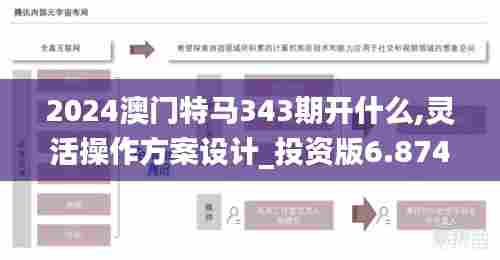 2024澳门特马343期开什么,灵活操作方案设计_投资版6.874