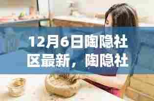 陶隐社区最新动态深度解读，12月6日更新报告