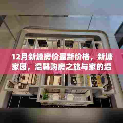 新塘家园温馨购房之旅,最新房价与家的温暖相遇