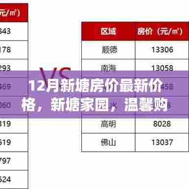 新塘家园温馨购房之旅,最新房价与家的温暖相遇