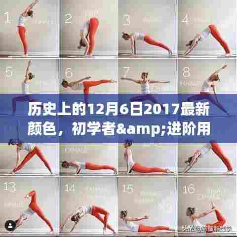 历史上的12月6日，最新颜色技能的探索与掌握——初学者与进阶用户的详细指南