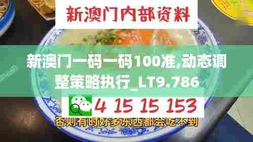 新澳门一码一码100准,动态调整策略执行_LT9.786
