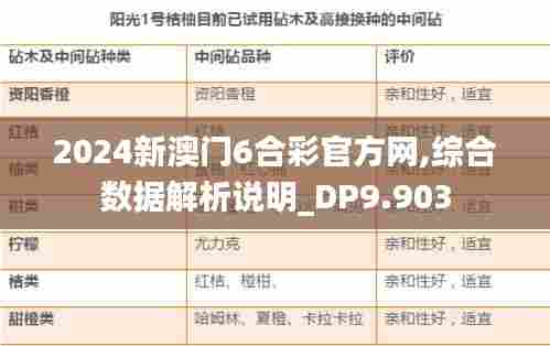 2024新澳门6合彩官方网,综合数据解析说明_DP9.903
