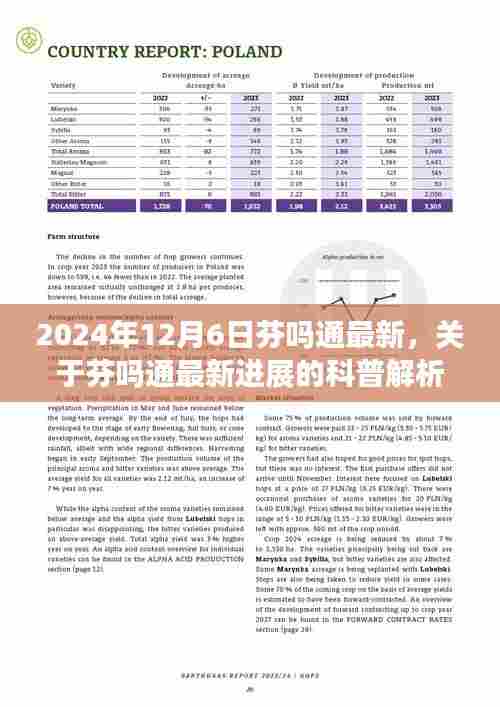 芬吗通最新进展科普解析(2024年12月6日更新版)
