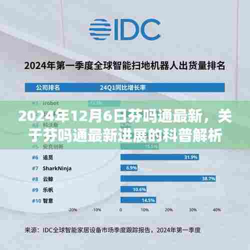 芬吗通最新进展科普解析(2024年12月6日更新版)