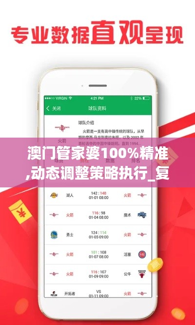 澳门管家婆100%精准,动态调整策略执行_复古款3.772