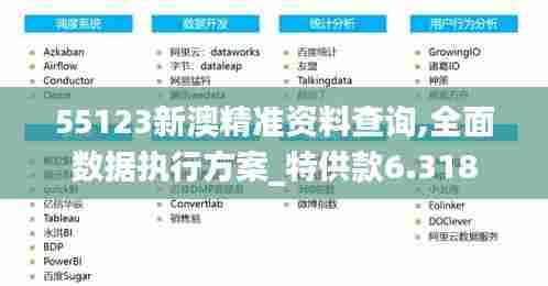 55123新澳精准资料查询,全面数据执行方案_特供款6.318