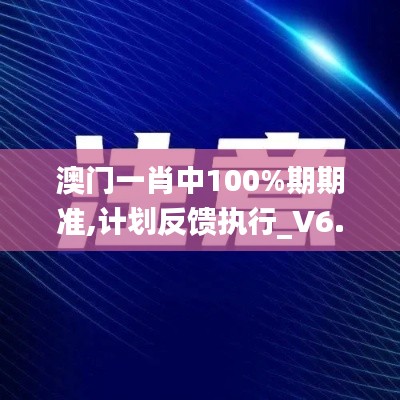 澳门一肖中100%期期准,计划反馈执行_V6.576