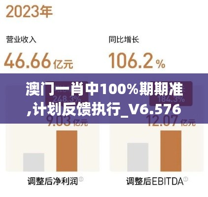 澳门一肖中100%期期准,计划反馈执行_V6.576