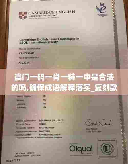 澳门一码一肖一特一中是合法的吗,确保成语解释落实_复刻款7.434