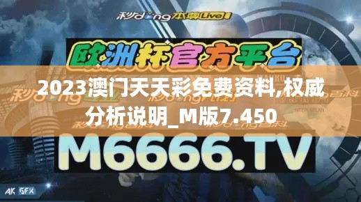2023澳门天天彩免费资料,权威分析说明_M版7.450