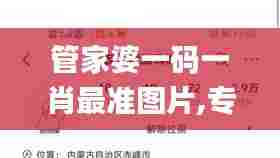 管家婆一码一肖最准图片,专业解析说明_挑战款14.349