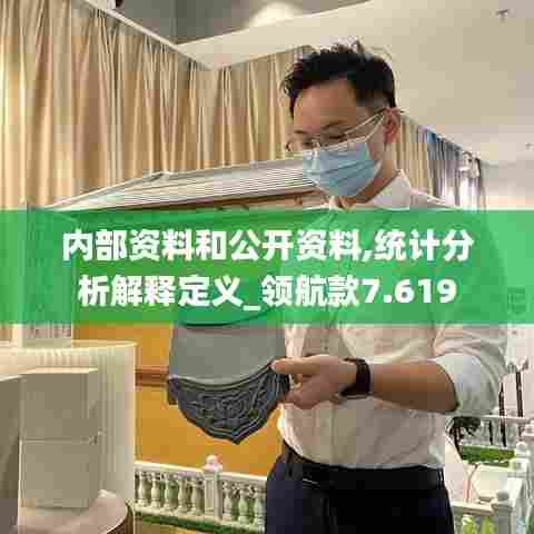 内部资料和公开资料,统计分析解释定义_领航款7.619