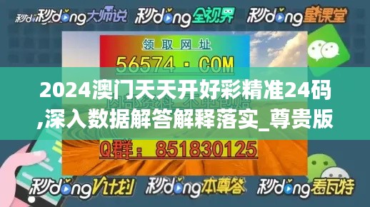 2024澳门天天开好彩精准24码,深入数据解答解释落实_尊贵版7.973