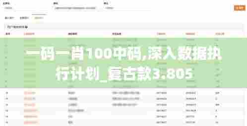 一码一肖100中码,深入数据执行计划_复古款3.805
