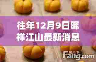 往年12月9日晖祥江山最新动态解析，变革与争议焦点关注