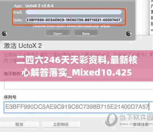 二四六246天天彩资料,最新核心解答落实_Mixed10.425
