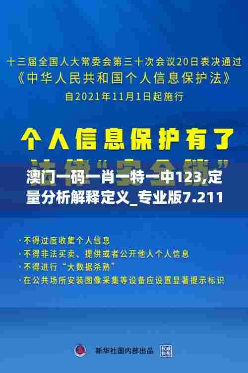 澳门一码一肖一特一中123,定量分析解释定义_专业版7.211