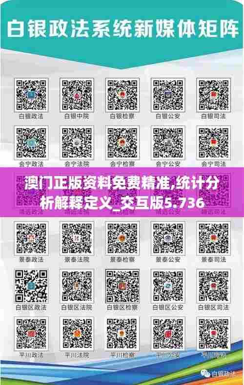 澳门正版资料免费精准,统计分析解释定义_交互版5.736