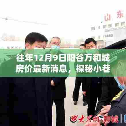 阳谷万和城房价最新动态与小巷宝藏奇遇记