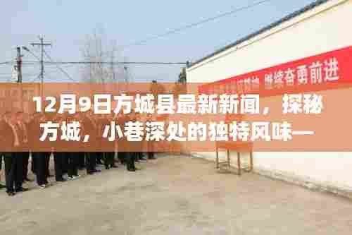 探秘方城，小巷独特风味——最新方城县新闻12月9日