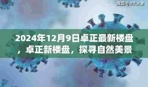 卓正新楼盘启程，探寻自然美景之旅，心灵宁静港湾的启程地（2024年最新资讯）