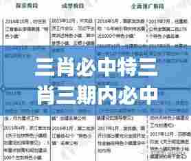 三肖必中特三肖三期内必中,前沿评估说明_iShop8.590