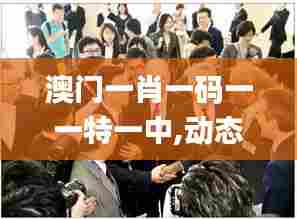 澳门一肖一码一一特一中,动态调整策略执行_钻石版3.675