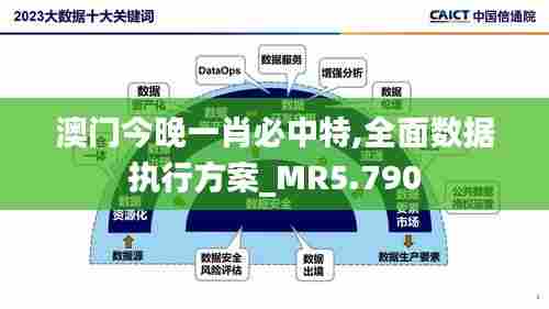 澳门今晚一肖必中特,全面数据执行方案_MR5.790