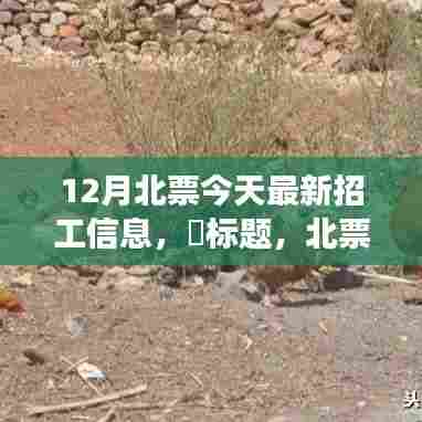 北票十二月招工新篇章，探寻自然美景，寻求内心宁静与和谐