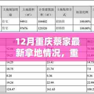 重庆蔡家地区最新拿地动态及分析聚焦观点探讨