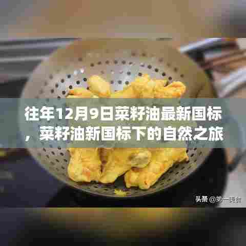 菜籽油新国标下的自然之旅，寻找内心平静的奇妙探险之旅