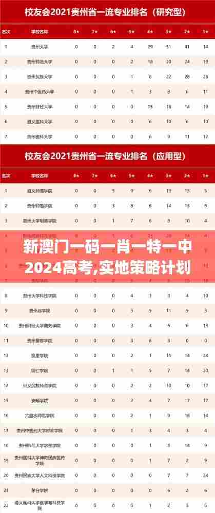 新澳门一码一肖一特一中2024高考,实地策略计划验证_冒险款10.885